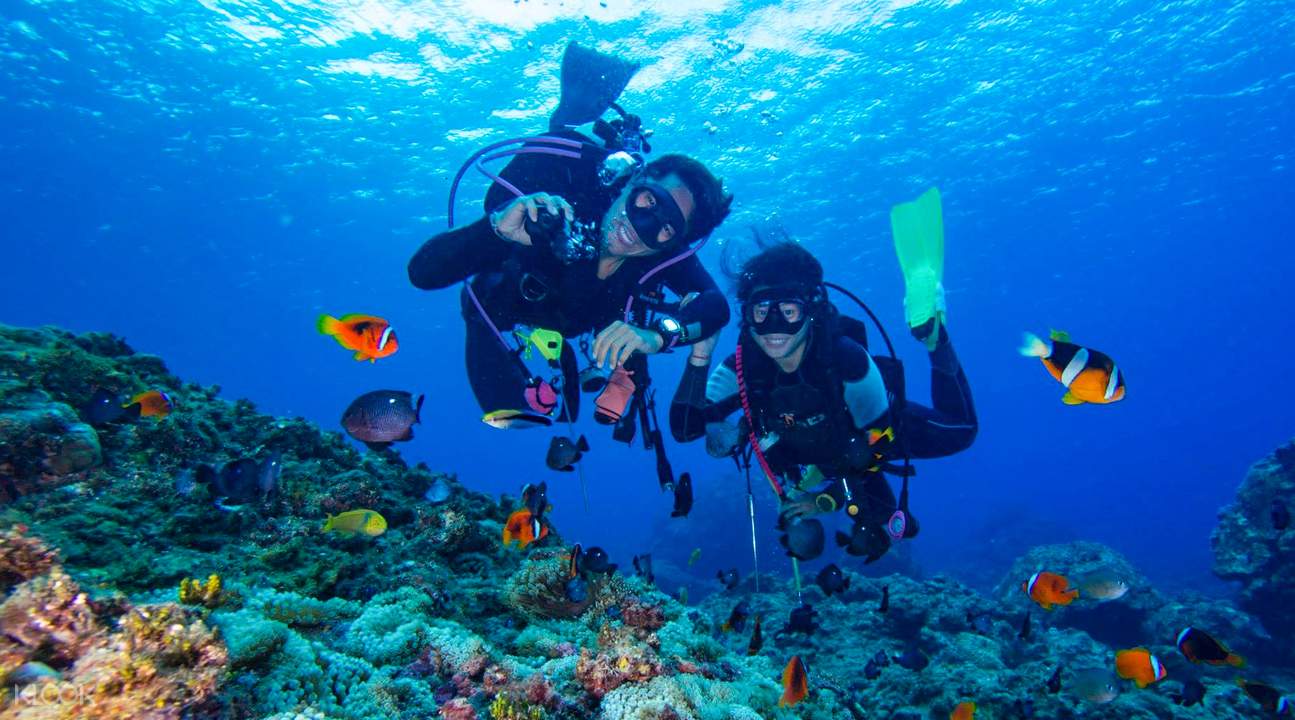 Aqaba Diving Experience 